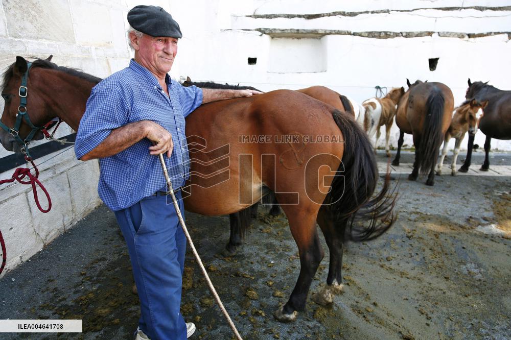 Illustration - Pays-Basque
