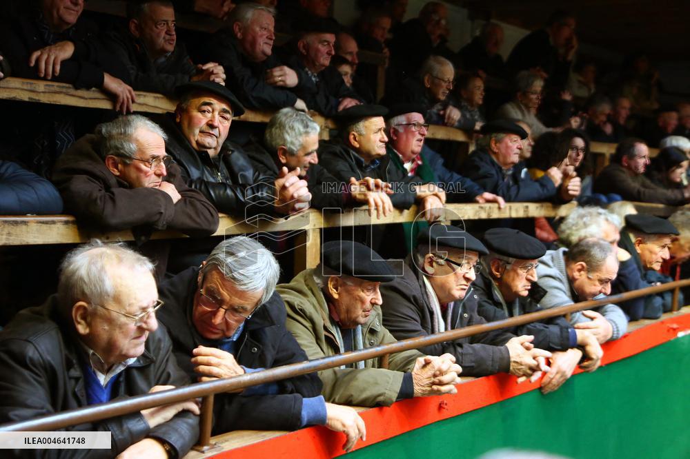 Illustration - Pays-Basque