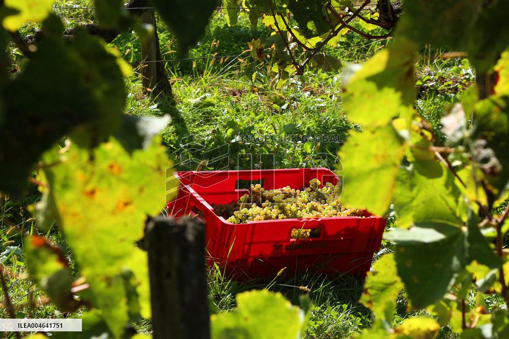 Illustration - Pays-Basque