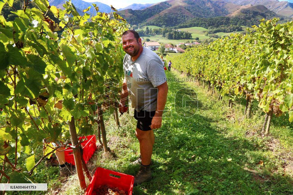 Illustration - Pays-Basque