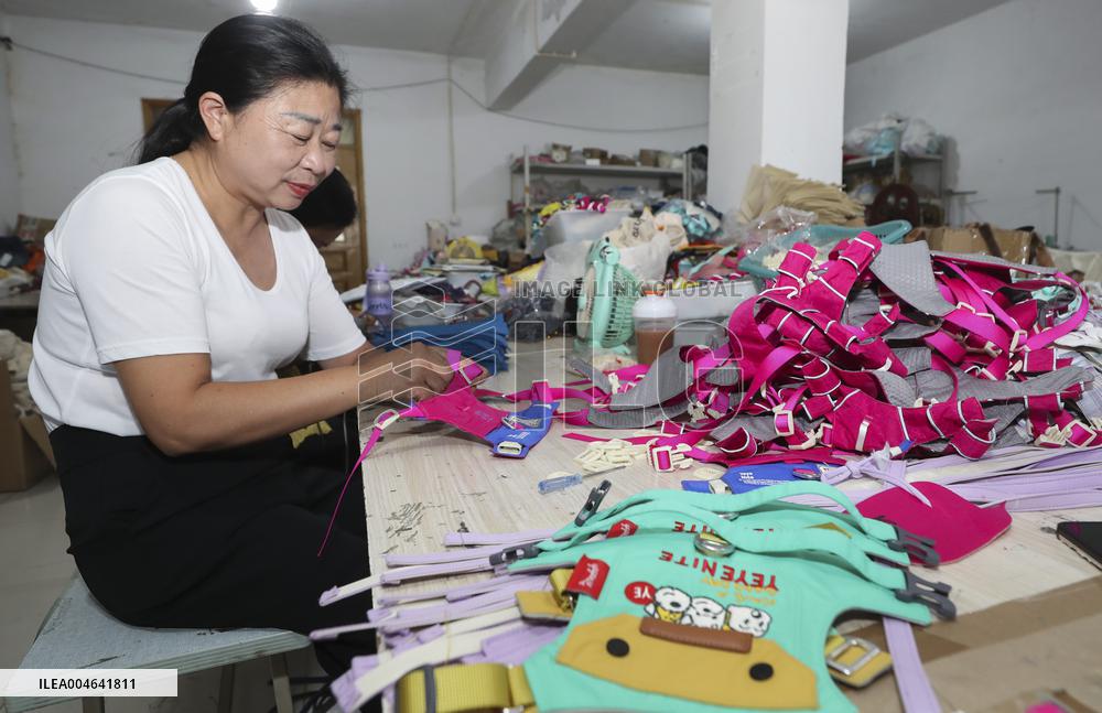 Pet Accessories Manufacturing in Huai'an
