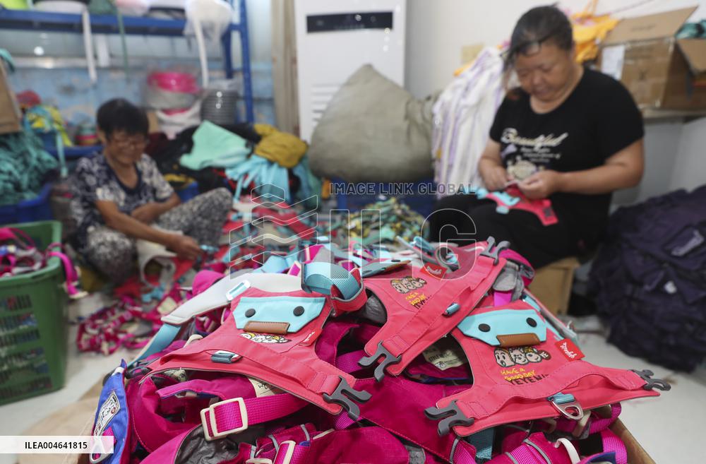 Pet Accessories Manufacturing in Huai'an