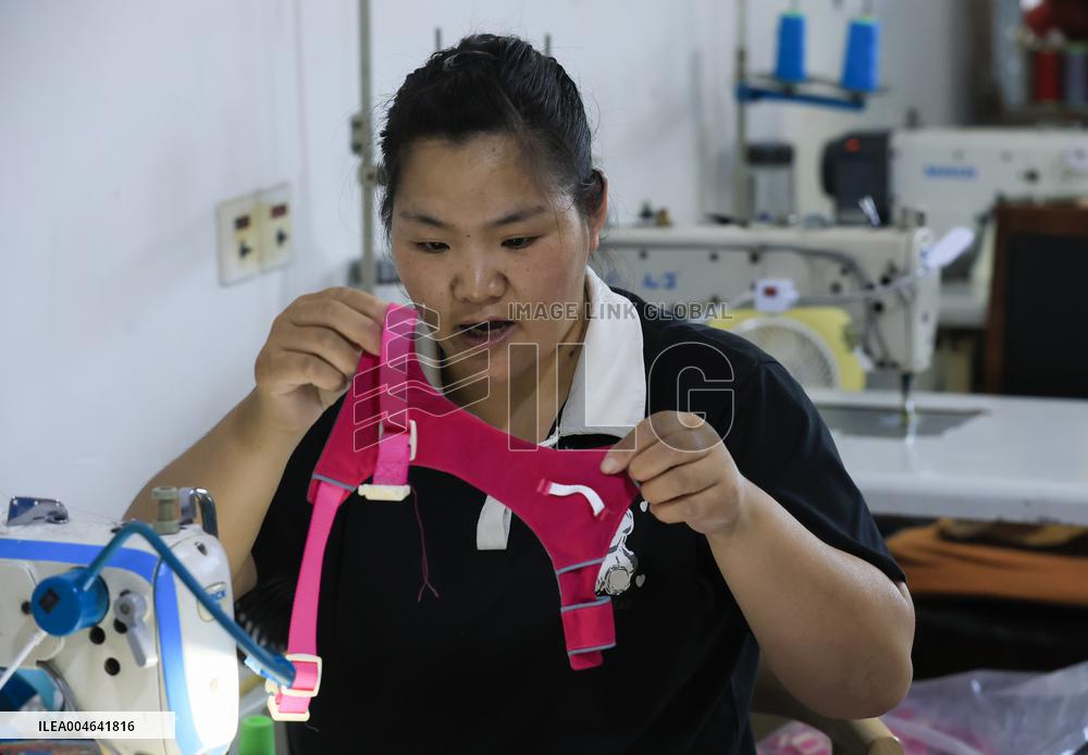 Pet Accessories Manufacturing in Huai'an