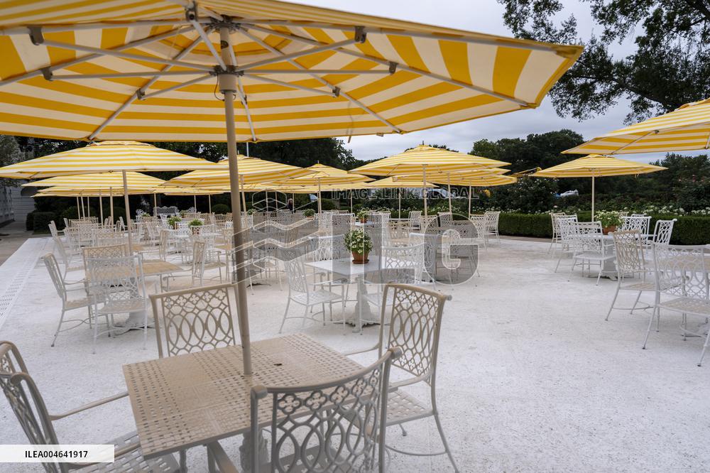 Renovations in the Rose Garden