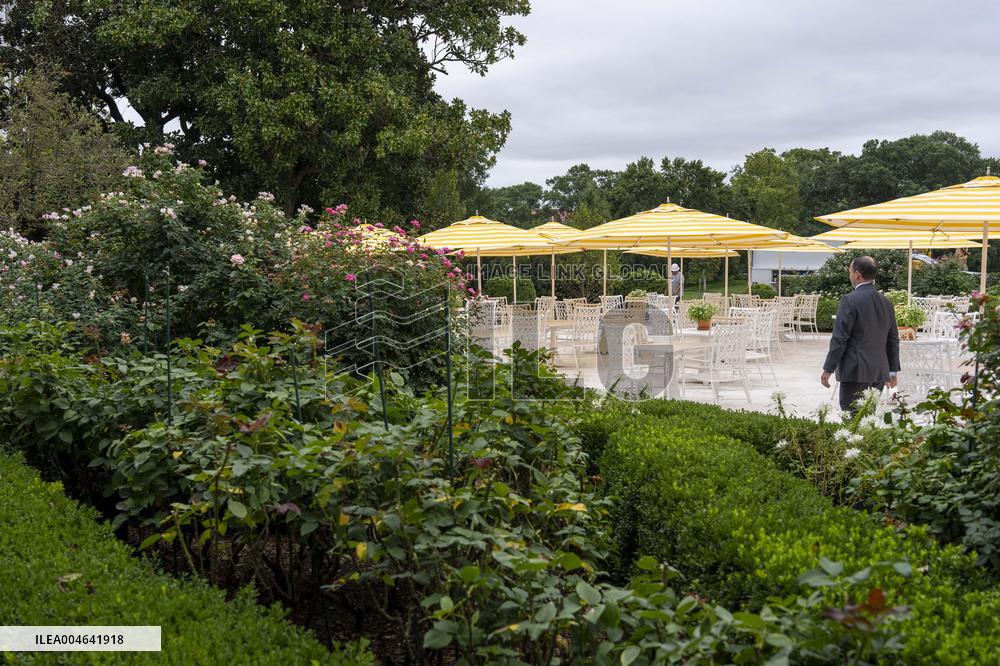 Renovations in the Rose Garden