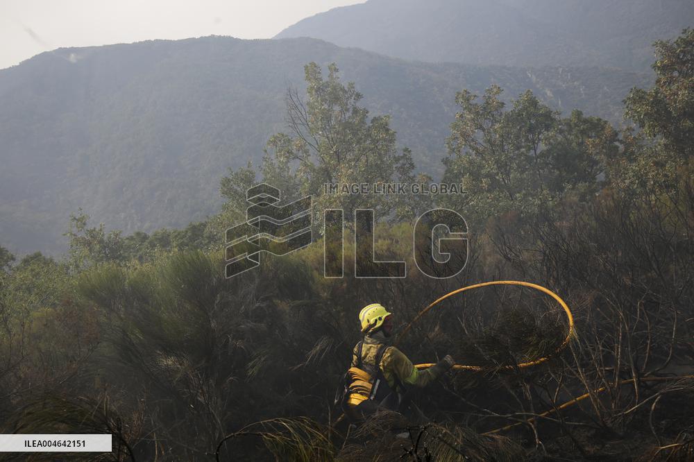 Efforts Ongoing to Control Yeres-Llamas de Cabrera Fire - Spain