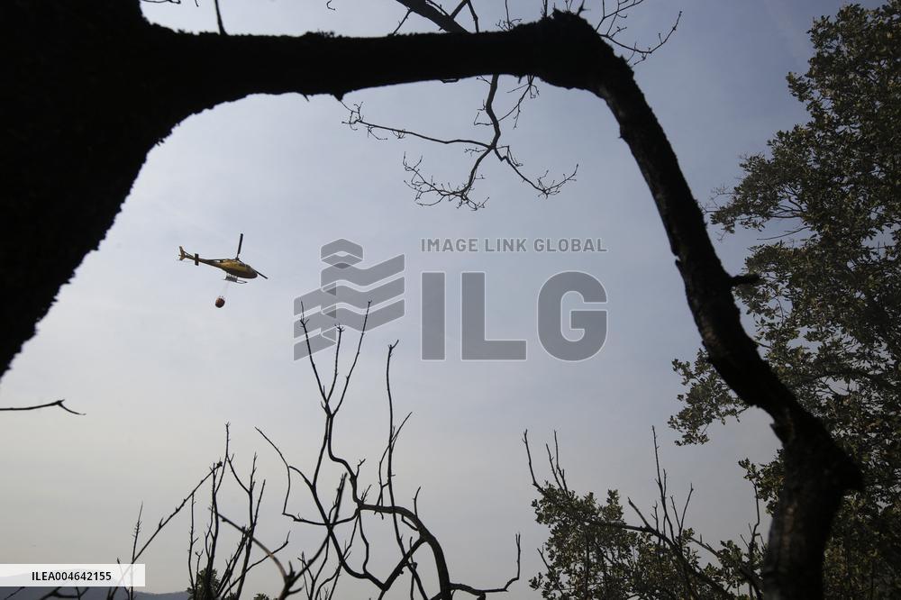 Efforts Ongoing to Control Yeres-Llamas de Cabrera Fire - Spain