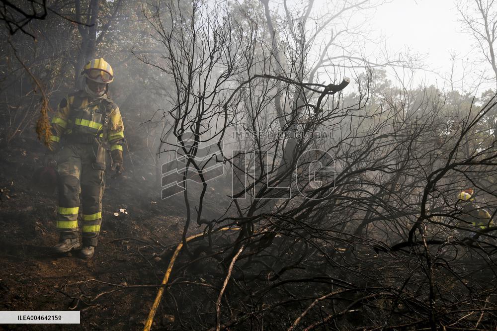 Efforts Ongoing to Control Yeres-Llamas de Cabrera Fire - Spain