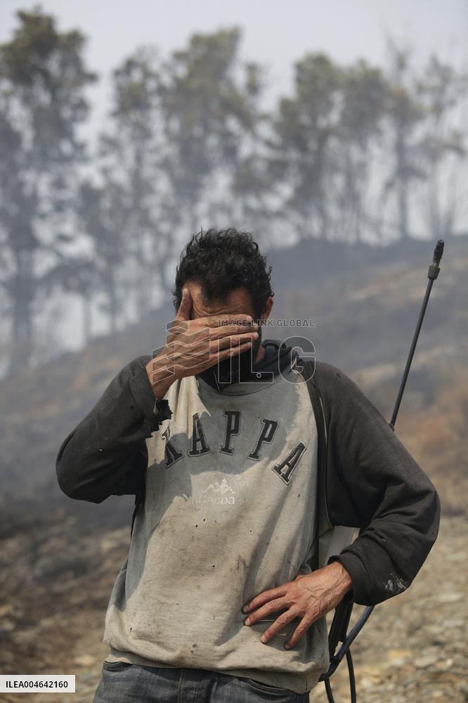 Efforts Ongoing to Control Yeres-Llamas de Cabrera Fire - Spain
