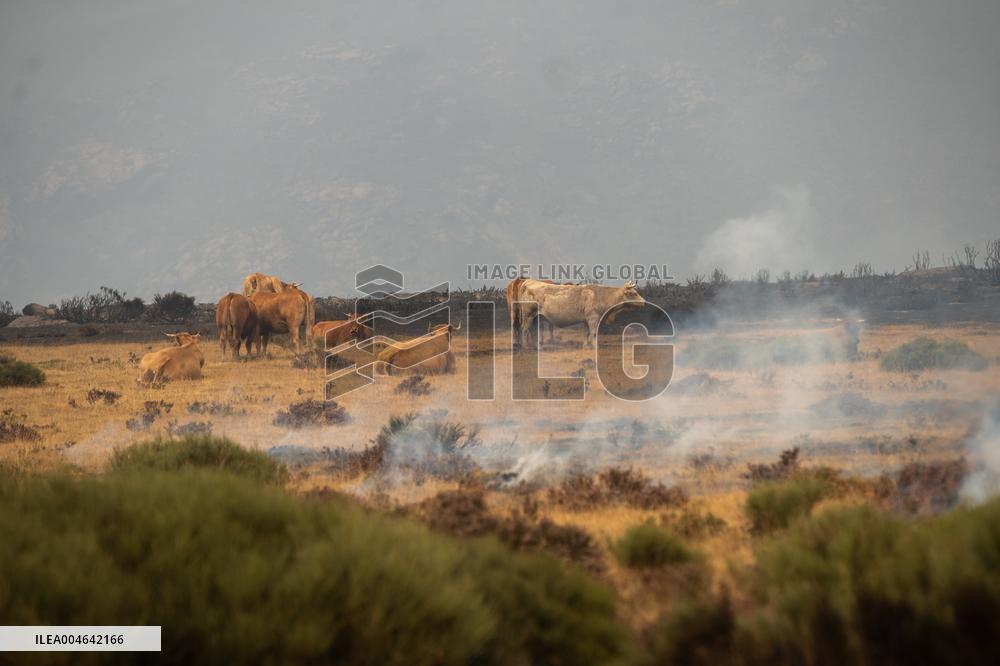 A-52 and N-525 Reopened as Sanabria Evacuations Continue - Spain