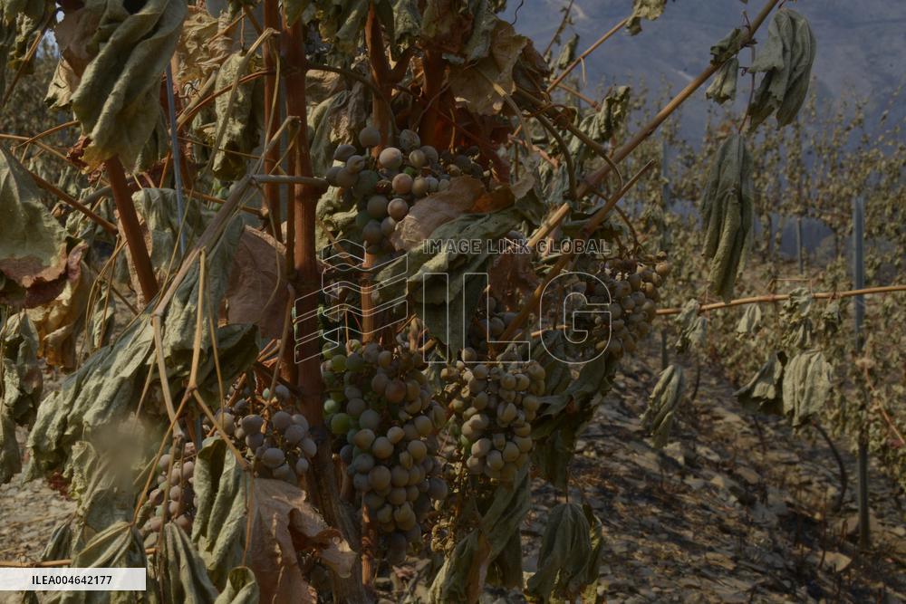 Larouco fire (Ourense) reaches 20,000 hectares burned and becomes the largest in the history of Galicia