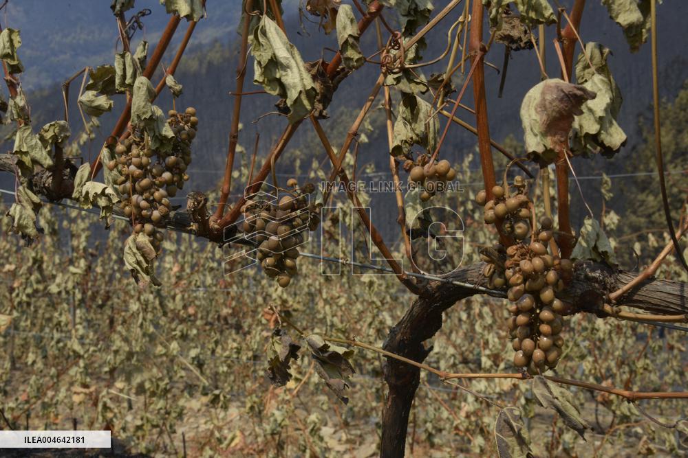 Larouco fire (Ourense) reaches 20,000 hectares burned and becomes the largest in the history of Galicia