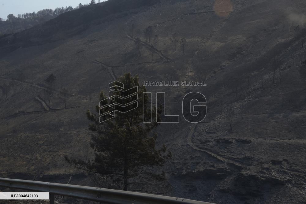 Larouco fire (Ourense) reaches 20,000 hectares burned and becomes the largest in the history of Galicia