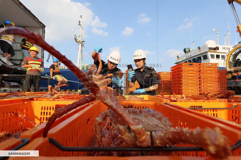 Russian Imported Golden King Crabs Arrived at Yantai Port