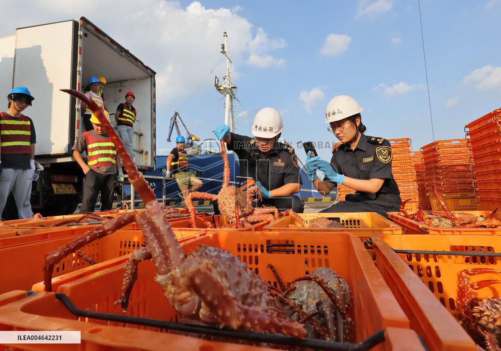 Russian Imported Golden King Crabs Arrived at Yantai Port
