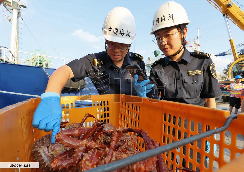 Russian Imported Golden King Crabs Arrived at Yantai Port