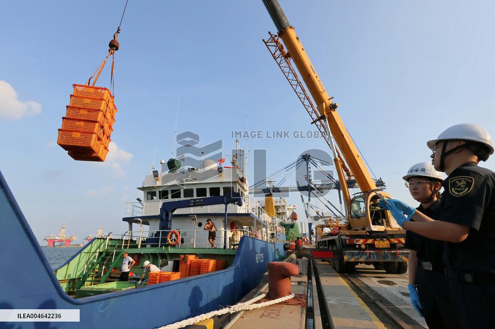 Russian Imported Golden King Crabs Arrived at Yantai Port