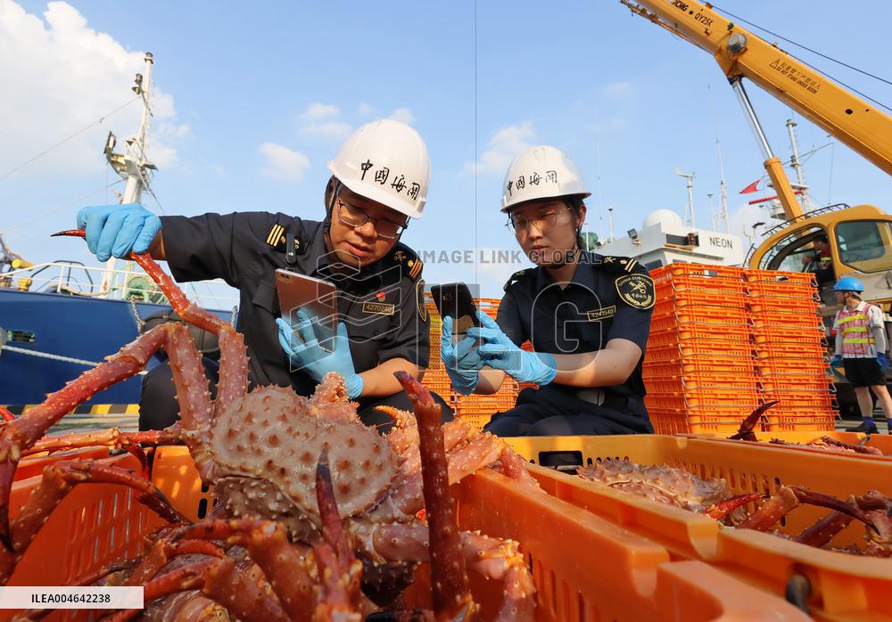 Russian Imported Golden King Crabs Arrived at Yantai Port