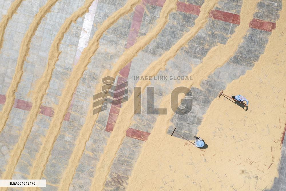 Yongchuan Grain Drying - China