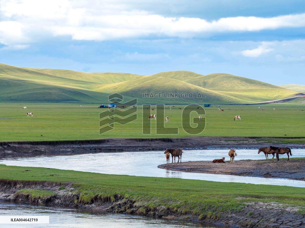 Inner Mongolia Hulun Buir Mergel Gol River Scenery - China