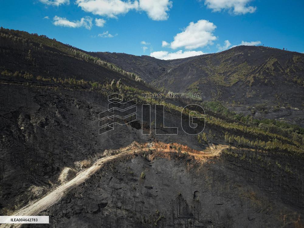 Larouco Fire Threatens Protected Areas - Spain
