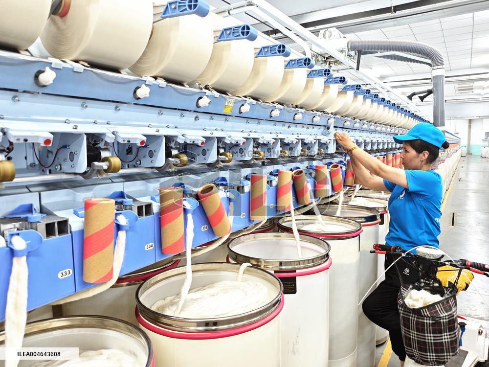 China Xinjiang Textile Industry