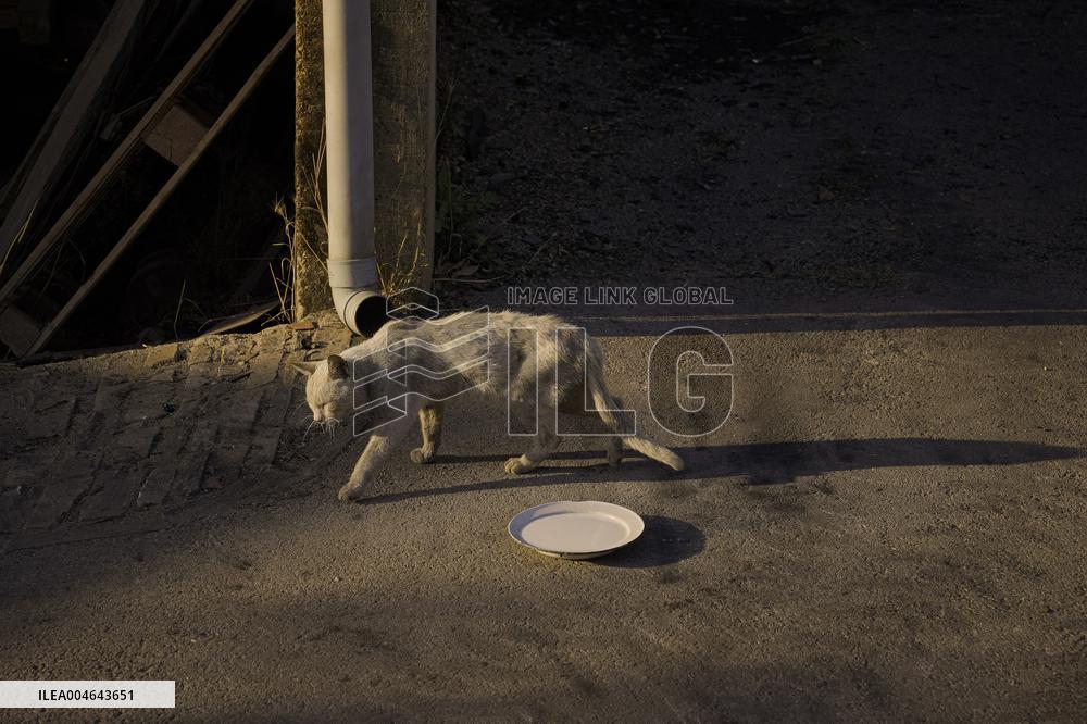 Larouco Fire Threatens Protected Areas in O Courel - Spain