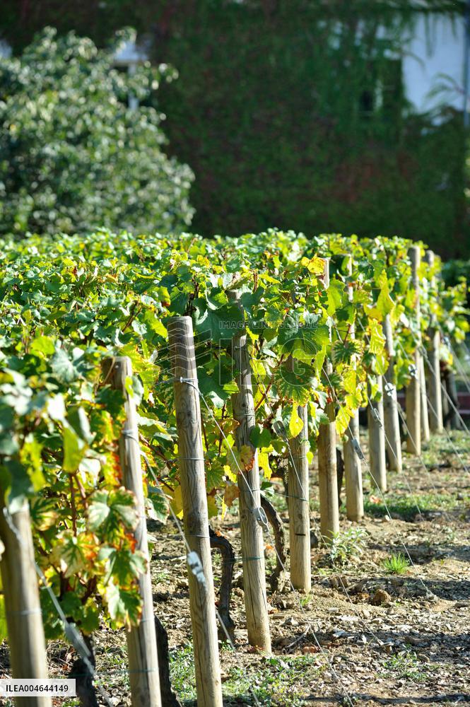 Illustration - Bercy