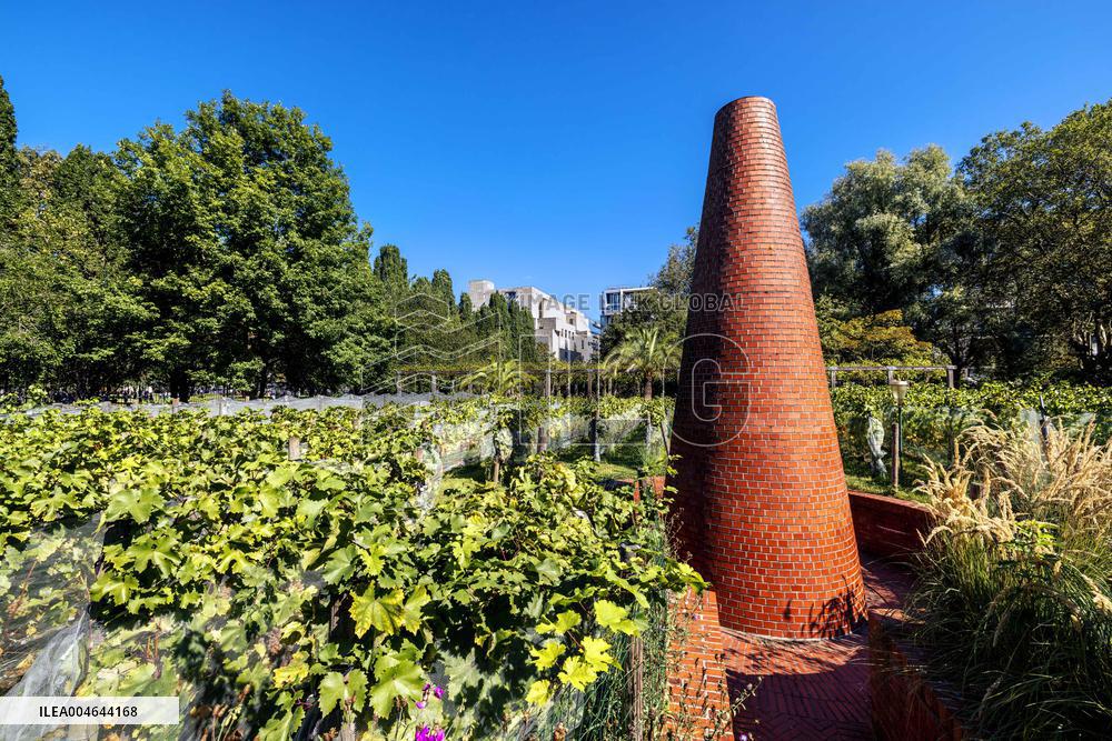 Illustration - Bercy