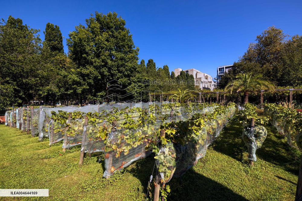 Illustration - Bercy