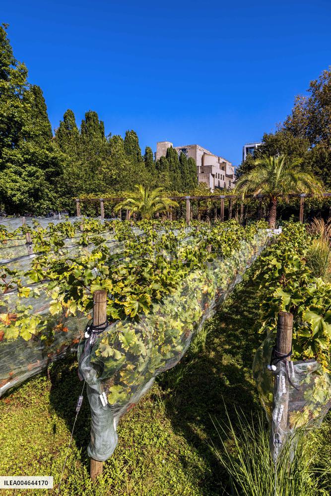 Illustration - Bercy