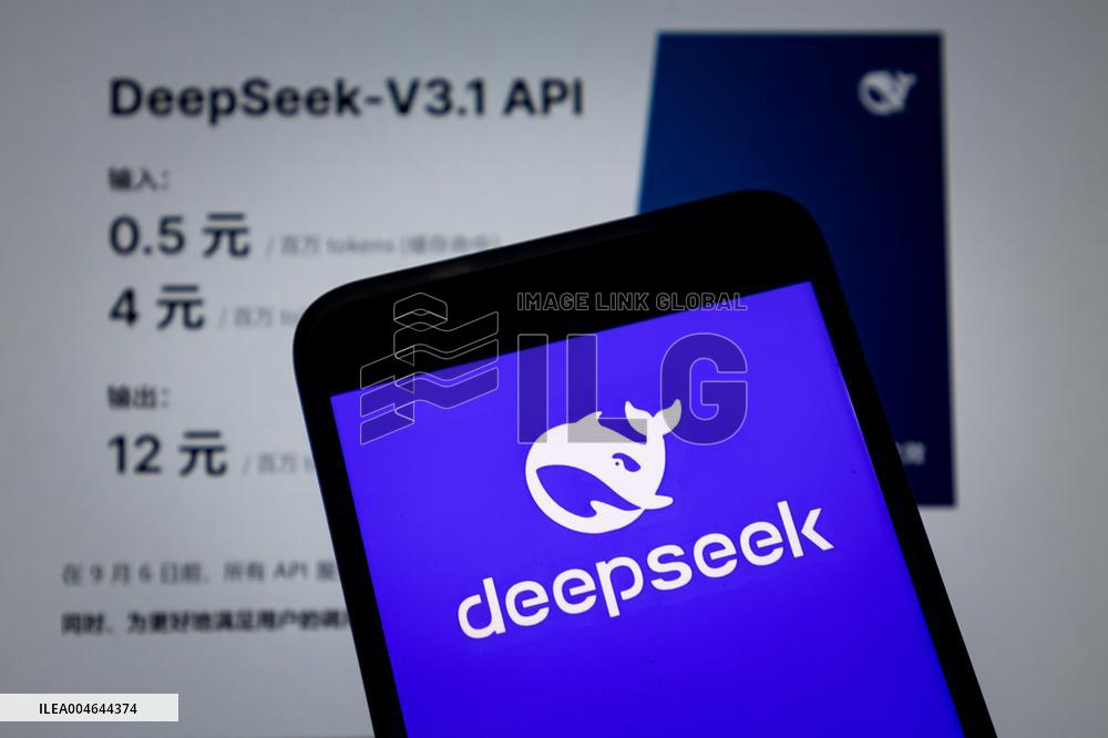DeepSeek-V3.1