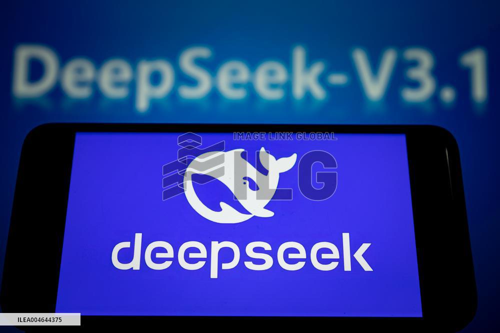 DeepSeek-V3.1