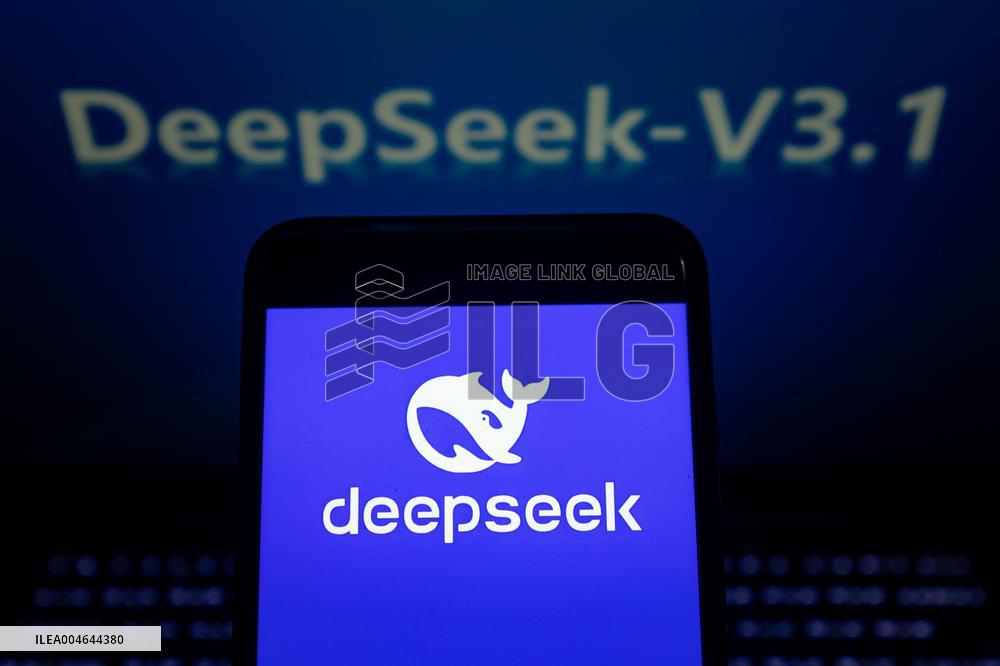 DeepSeek-V3.1
