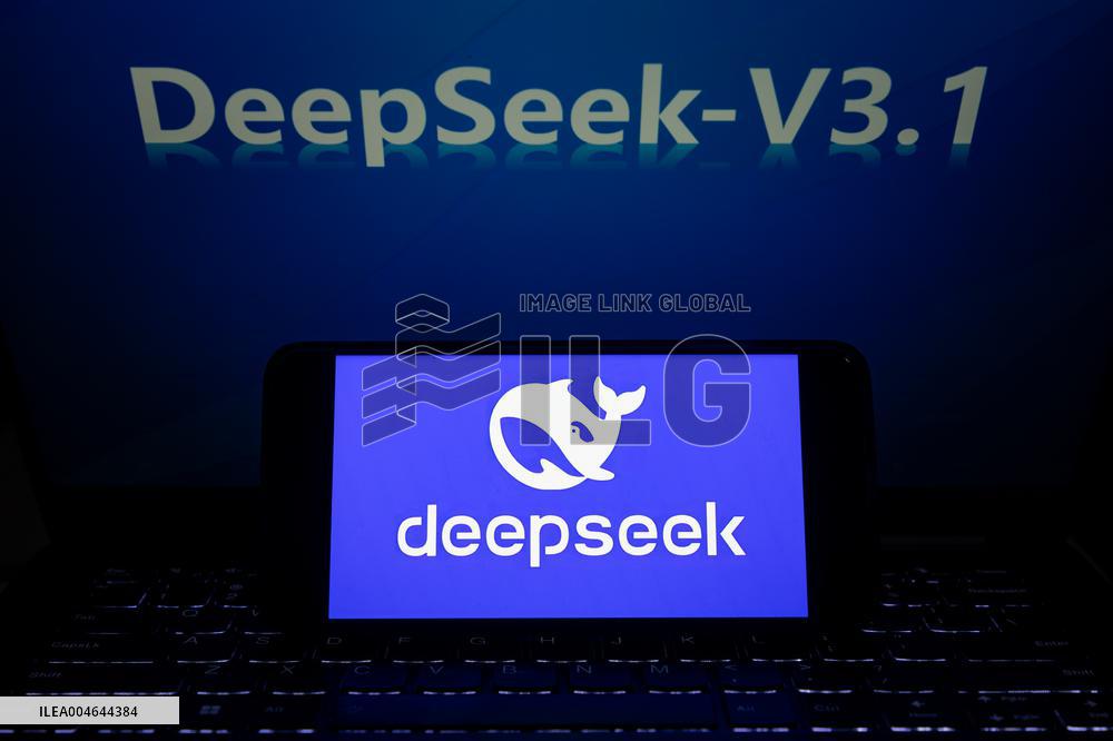 DeepSeek-V3.1