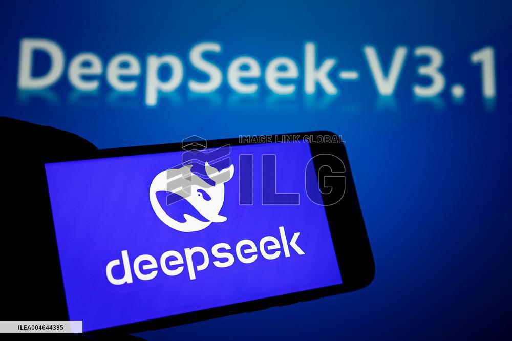 DeepSeek-V3.1