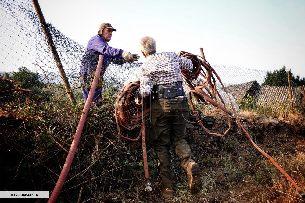 Four active fires, three stabilized and eight under control in Asturias