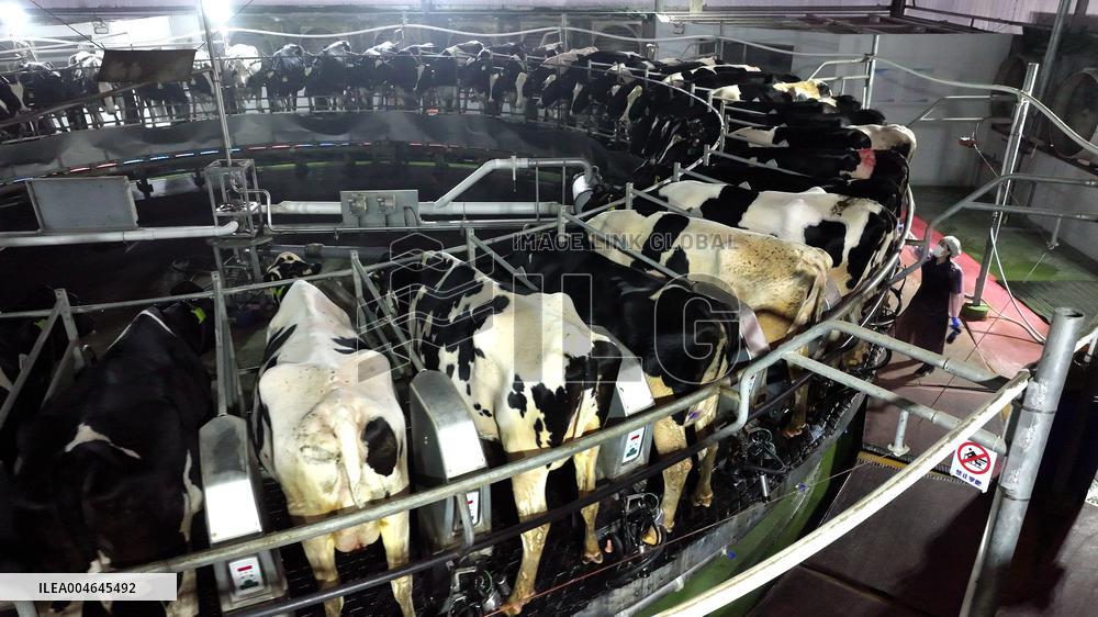 Intelligent Dairy Farm in Haian