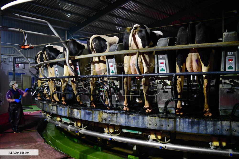 Intelligent Dairy Farm in Haian