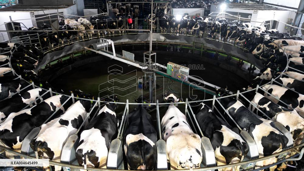 Intelligent Dairy Farm in Haian