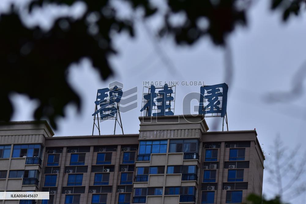 Country Garden Crisis