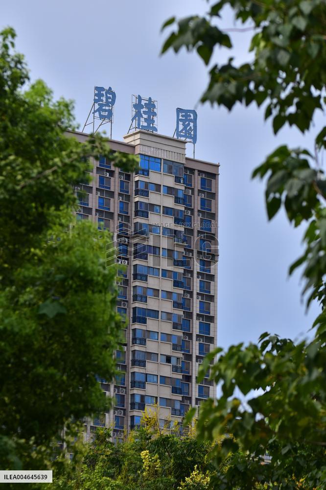 Country Garden Crisis