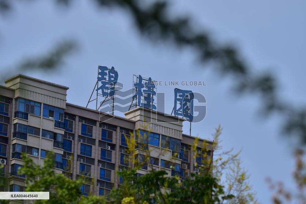 Country Garden Crisis