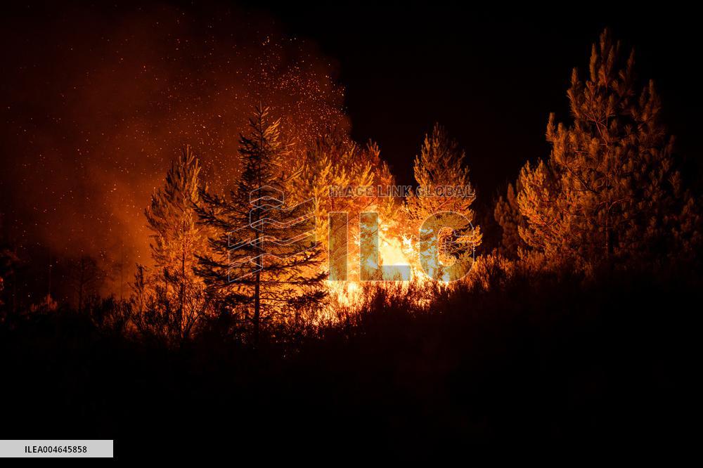 Wildfires in Spain - Favorable Evolution in Castilla y Leon