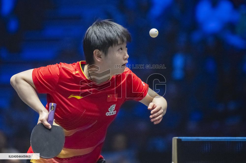 TABLE TENNIS EUROPE SMASH SWEDEN 2025