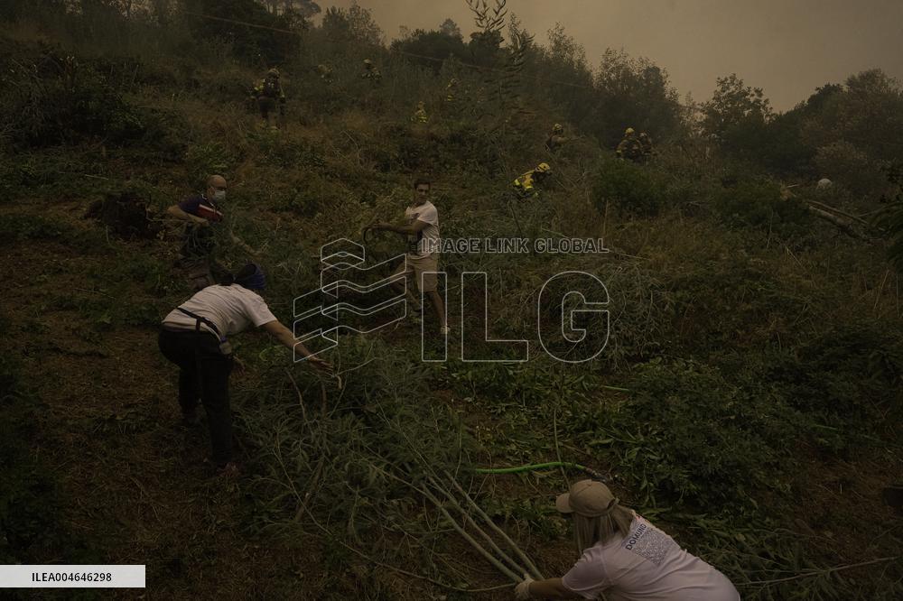 The Largest Fire In The History Of Galicia Is Stabilized - Spain -