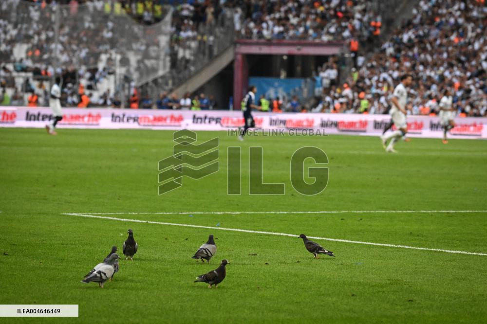 Ligue 1 Olympique de Marseille vs Paris FC - FA