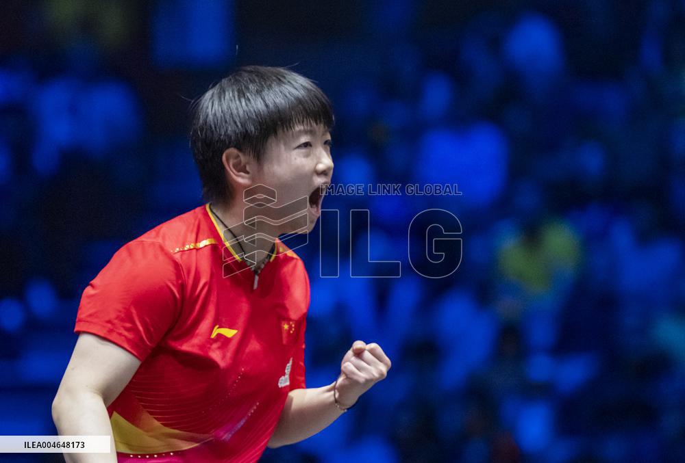 TABLE TENNIS EUROPE SMASH SWEDEN 2025