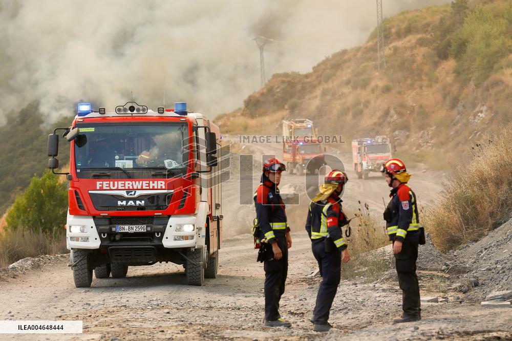 Fire in Zamora Remains Active - Spain
