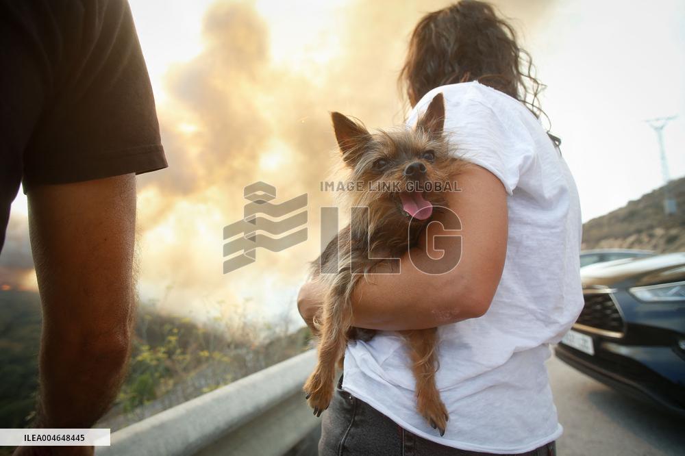 Fire in Zamora Remains Active - Spain